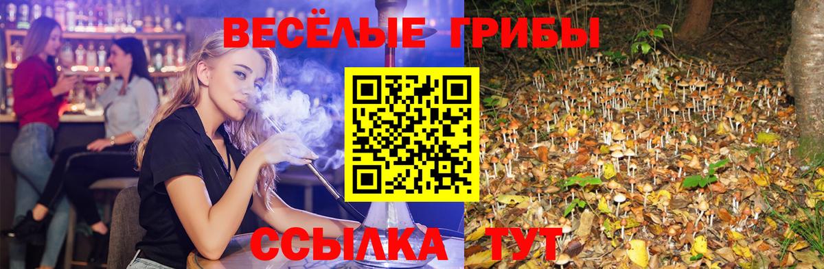 Калуга  Галлюциногенные грибы прущие грибы  цены наркотик  Вход с VPN  Галлюциногенные грибы мицелий 